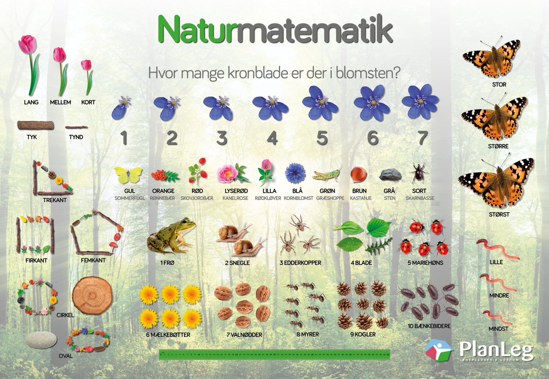 Læringstavle - Naturmatematik Læringstavle - Naturmatematik