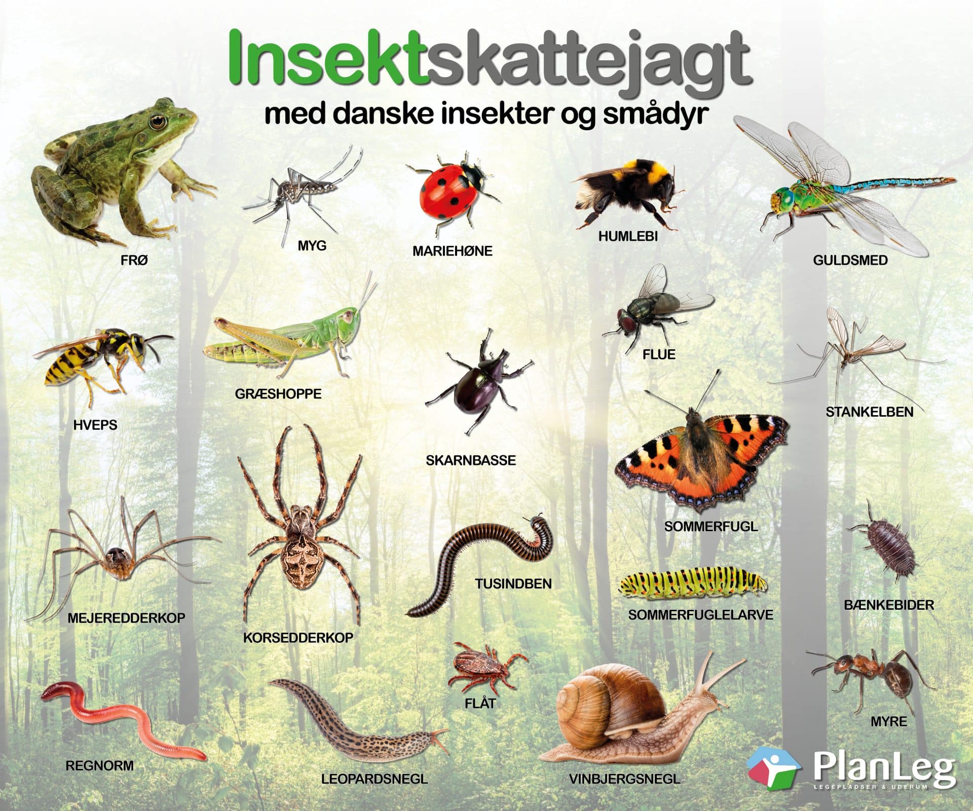 Læringstavle 2024 - insektskattejagt 120x100 cm Læringstavle 2024 - insektskattejagt 120x100 cm
