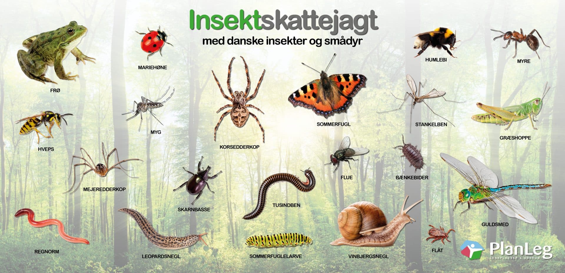Læringstavle - insektskattejagt 150x70 cm Læringstavle - insektskattejagt 150x70 cm