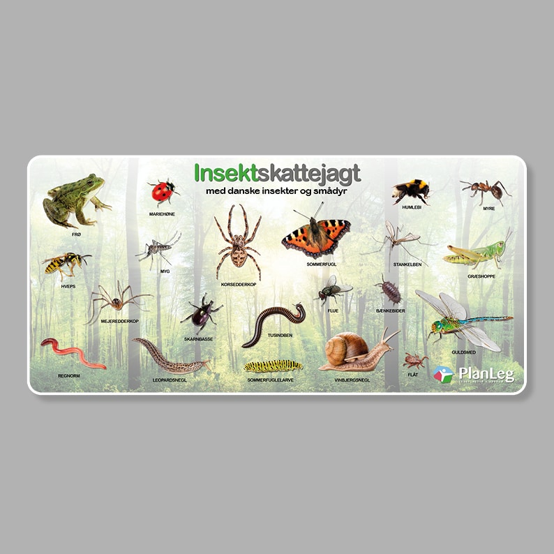 Læringstavle Insektskattejagt 150x70 cm Læringstavle Insektskattejagt 150x70 cm
